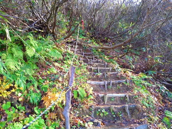 f:id:threepeaks:20201122215027j:plain