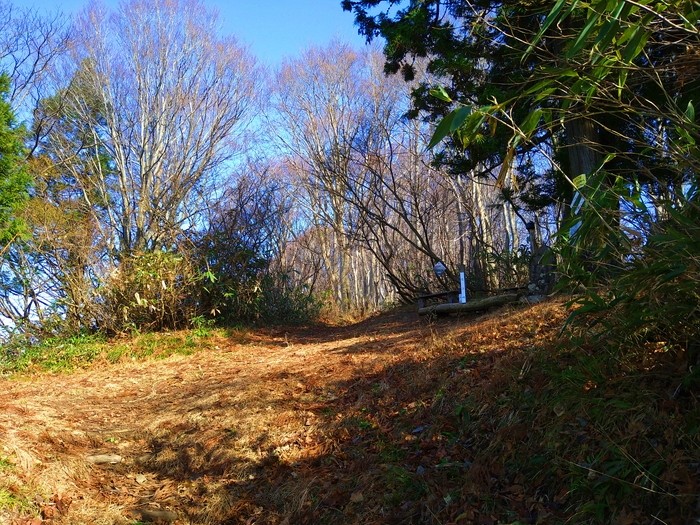 f:id:threepeaks:20201122215133j:plain