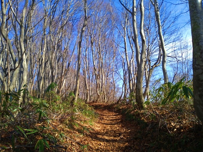 f:id:threepeaks:20201122215929j:plain