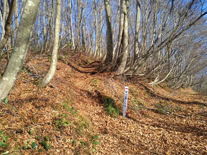 f:id:threepeaks:20201122220002j:plain