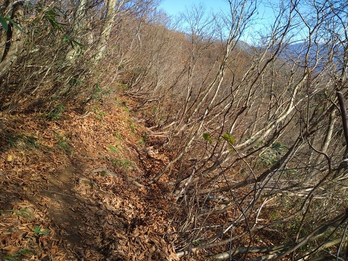 f:id:threepeaks:20201122220021j:plain