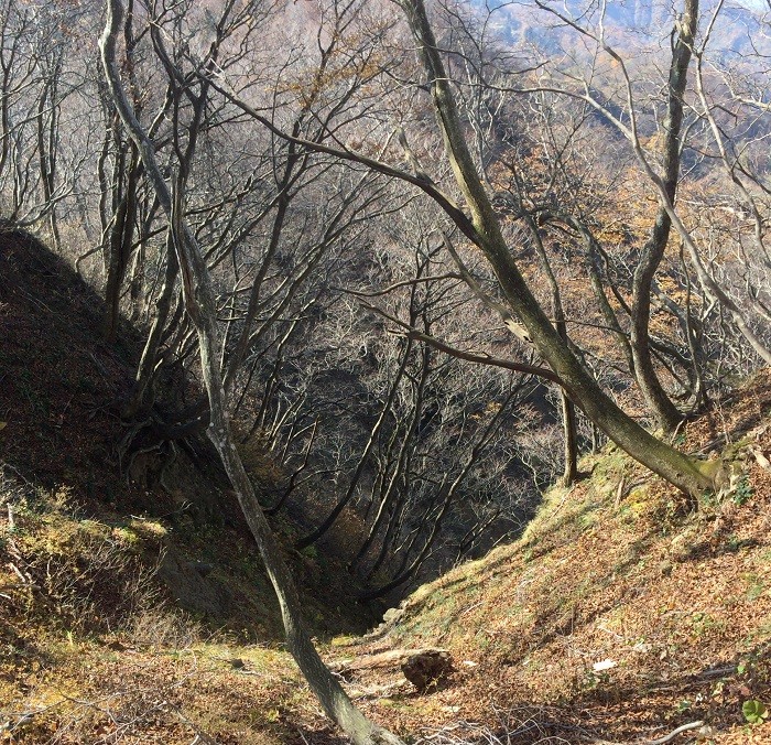 f:id:threepeaks:20201122220206j:plain