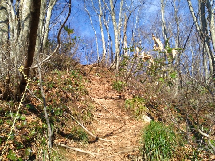 f:id:threepeaks:20201122220235j:plain