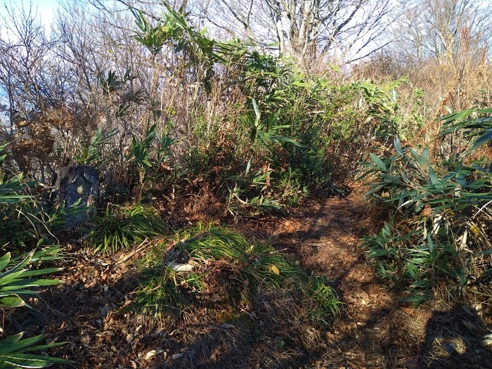 f:id:threepeaks:20201122220359j:plain