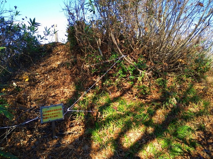 f:id:threepeaks:20201122220626j:plain