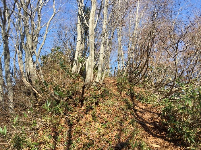 f:id:threepeaks:20201122221640j:plain