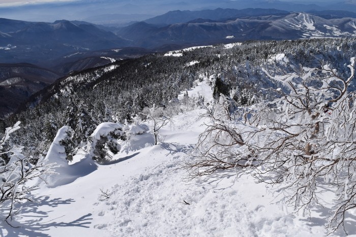 f:id:threepeaks:20201226213846j:plain