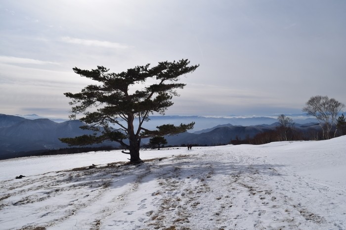 f:id:threepeaks:20201226214154j:plain