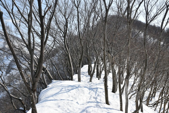 f:id:threepeaks:20210222200139j:plain