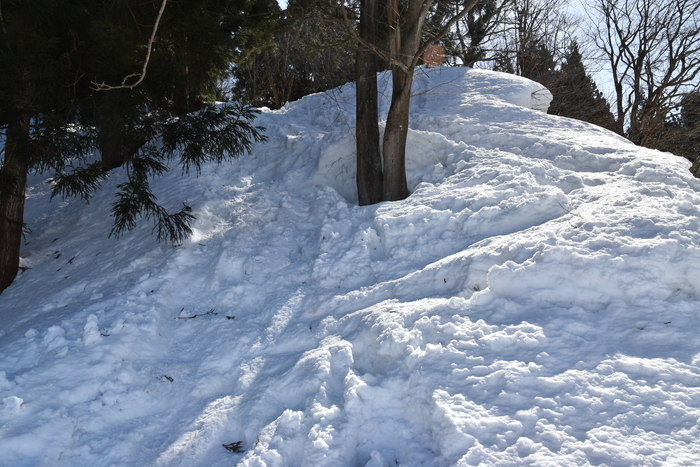 f:id:threepeaks:20210301211349j:plain