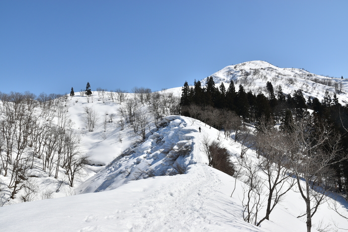 f:id:threepeaks:20210301212228j:plain