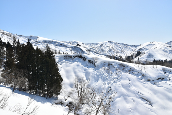 f:id:threepeaks:20210301212338j:plain