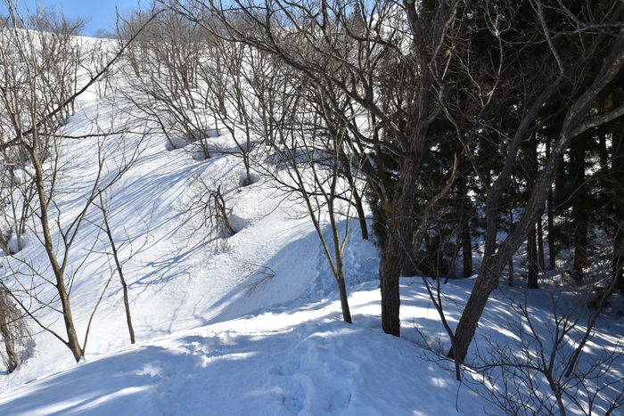 f:id:threepeaks:20210301212530j:plain