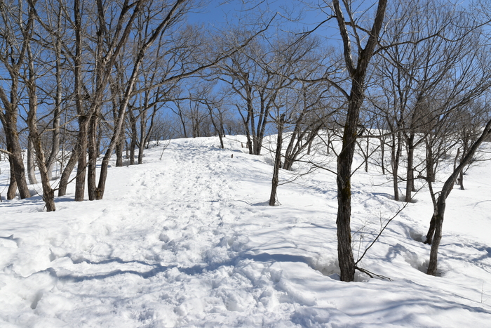 f:id:threepeaks:20210301212638j:plain