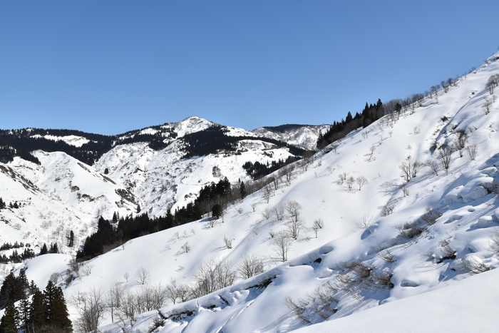 f:id:threepeaks:20210301213137j:plain