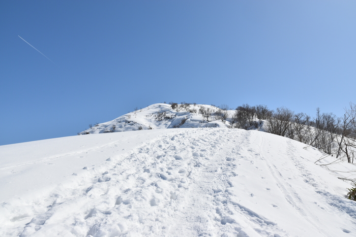 f:id:threepeaks:20210301213327j:plain