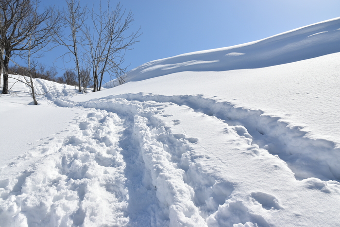 f:id:threepeaks:20210301213753j:plain