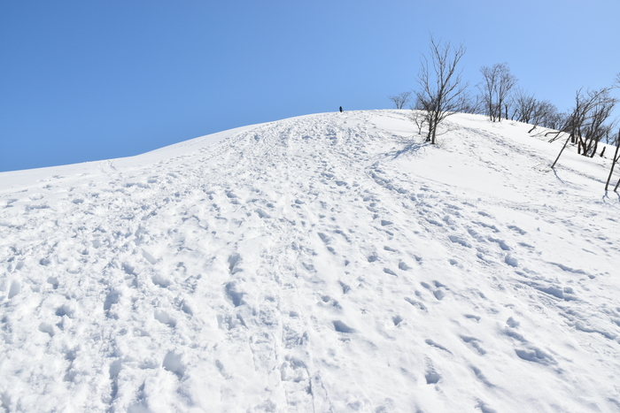 f:id:threepeaks:20210301214428j:plain