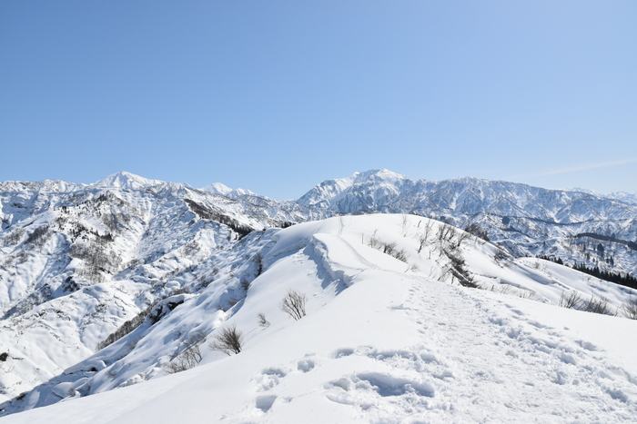 f:id:threepeaks:20210301215108j:plain