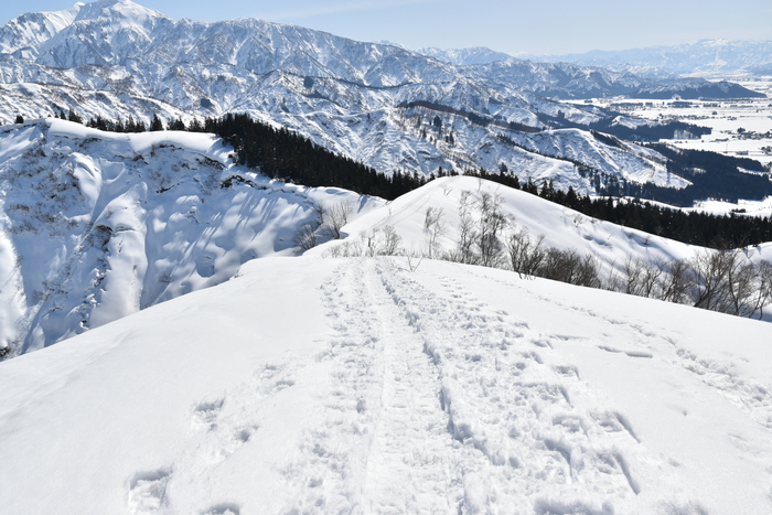 f:id:threepeaks:20210301222310j:plain