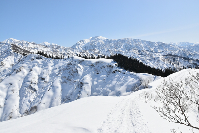 f:id:threepeaks:20210301222340j:plain