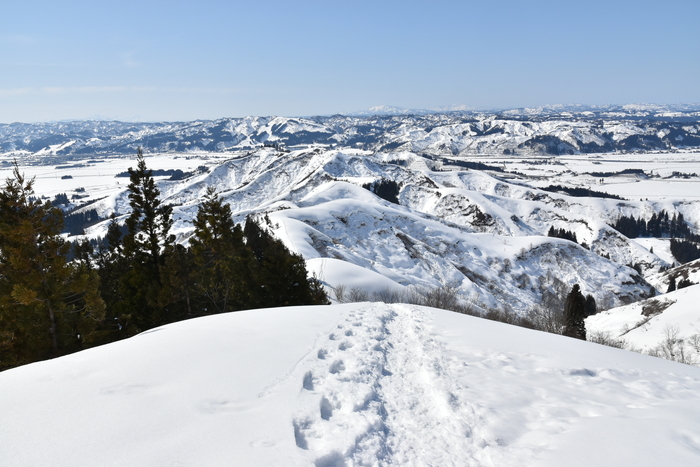 f:id:threepeaks:20210301222957j:plain