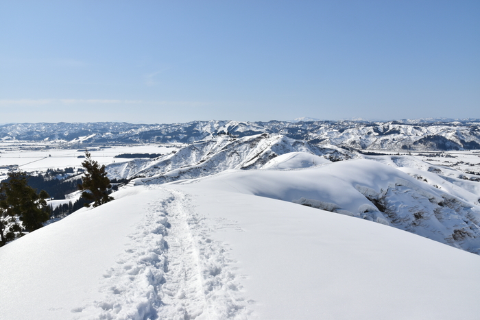 f:id:threepeaks:20210301223218j:plain