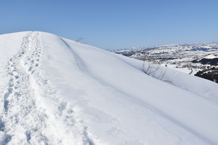 f:id:threepeaks:20210301223422j:plain