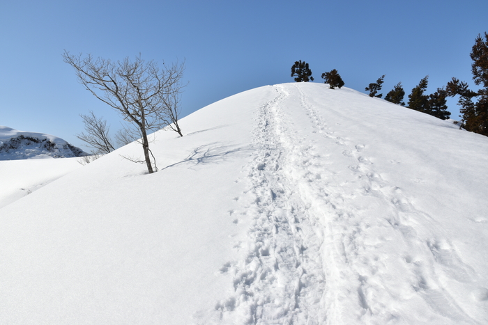 f:id:threepeaks:20210301223752j:plain