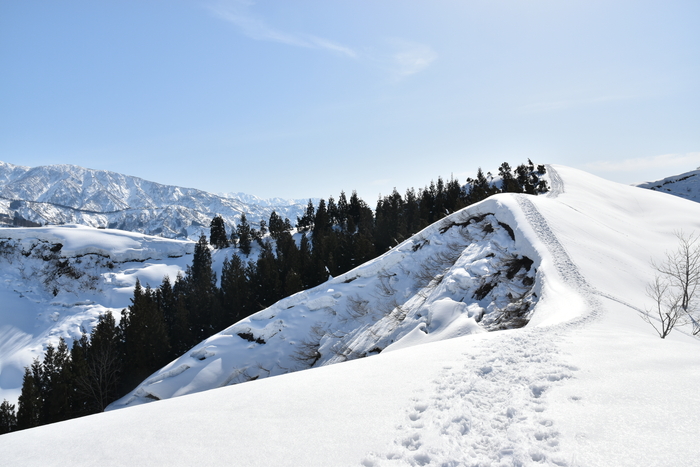 f:id:threepeaks:20210301224132j:plain