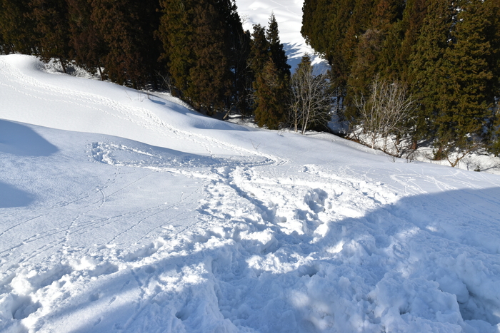 f:id:threepeaks:20210301225815j:plain