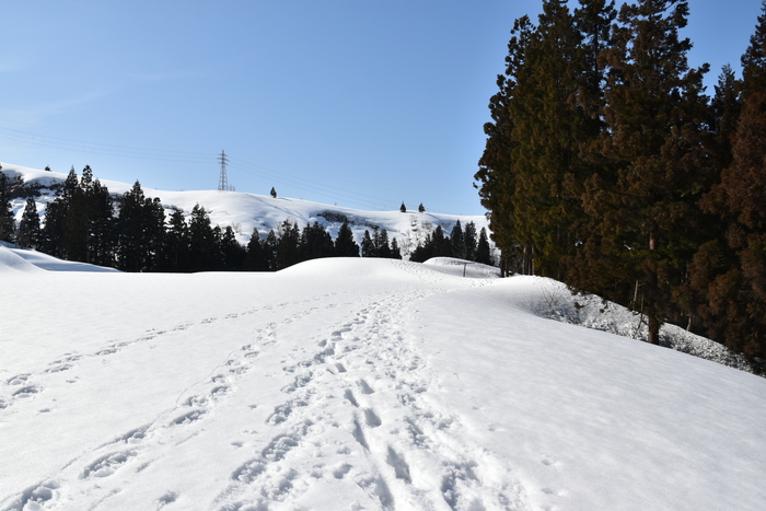 f:id:threepeaks:20210301225920j:plain