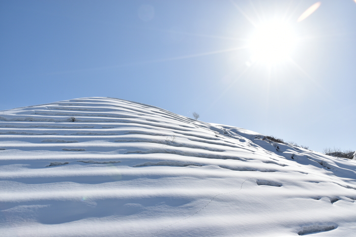 f:id:threepeaks:20210301225949j:plain