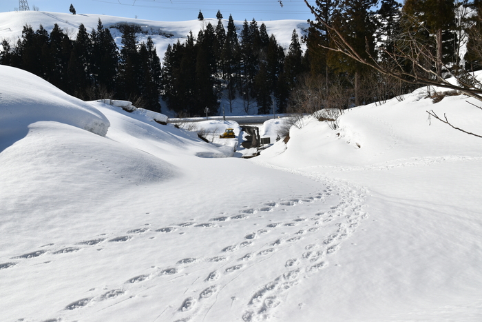 f:id:threepeaks:20210301230046j:plain