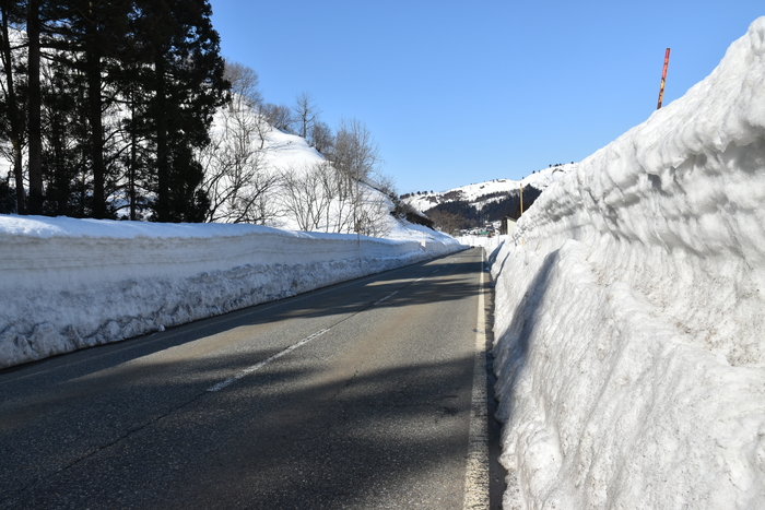 f:id:threepeaks:20210301230135j:plain