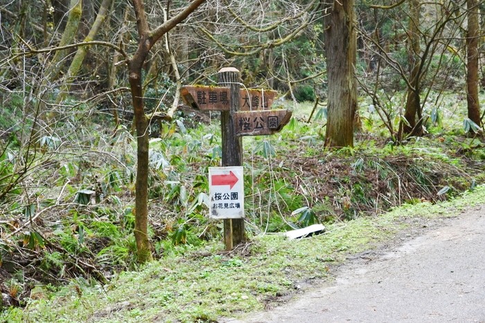 f:id:threepeaks:20210404205649j:plain