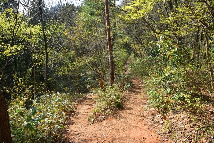 f:id:threepeaks:20210404215651j:plain