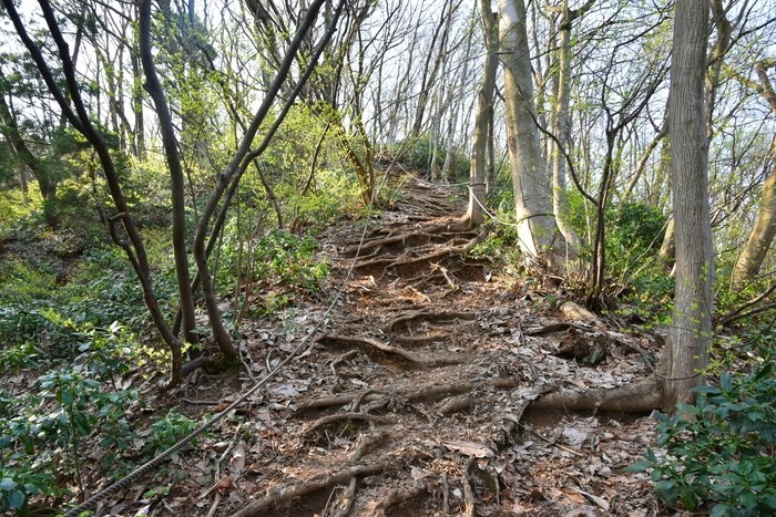 f:id:threepeaks:20210404220005j:plain