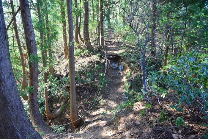 f:id:threepeaks:20210404220155j:plain