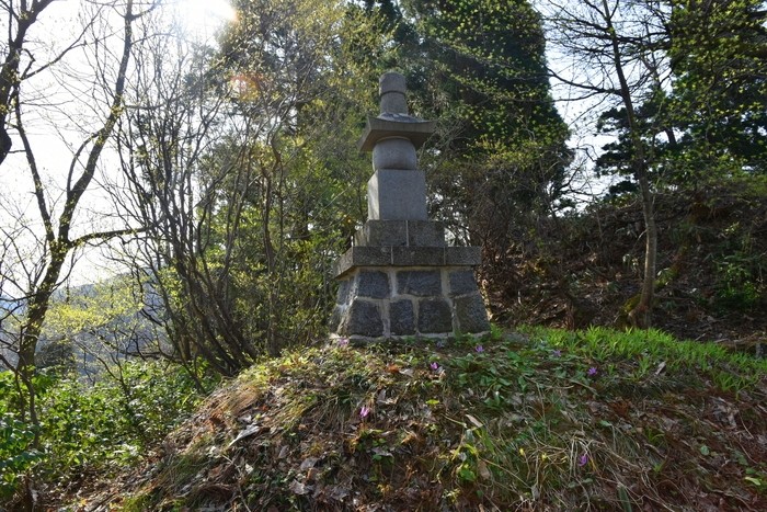 f:id:threepeaks:20210404220212j:plain