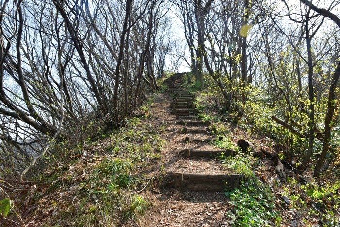 f:id:threepeaks:20210404221322j:plain