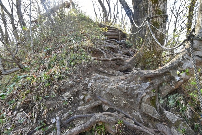 f:id:threepeaks:20210404221404j:plain