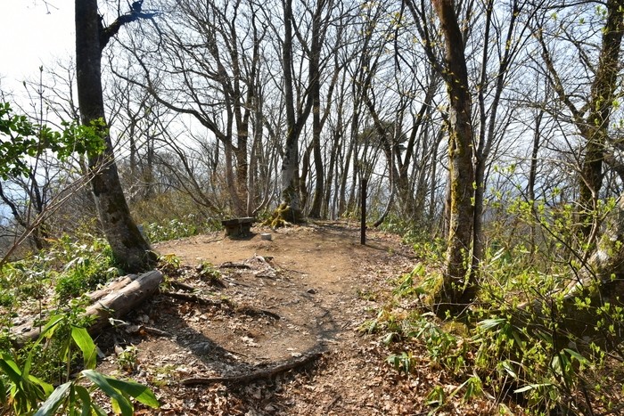 f:id:threepeaks:20210404223204j:plain