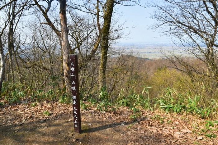 f:id:threepeaks:20210404223218j:plain