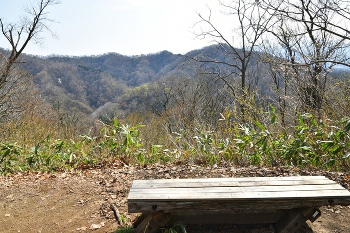 f:id:threepeaks:20210404223255j:plain