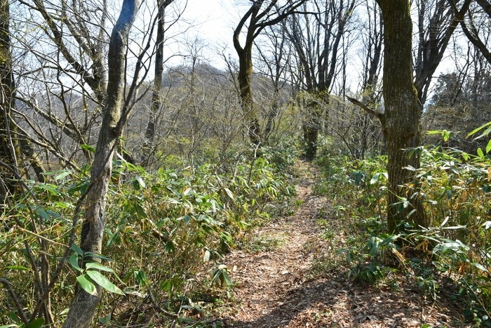 f:id:threepeaks:20210404223838j:plain