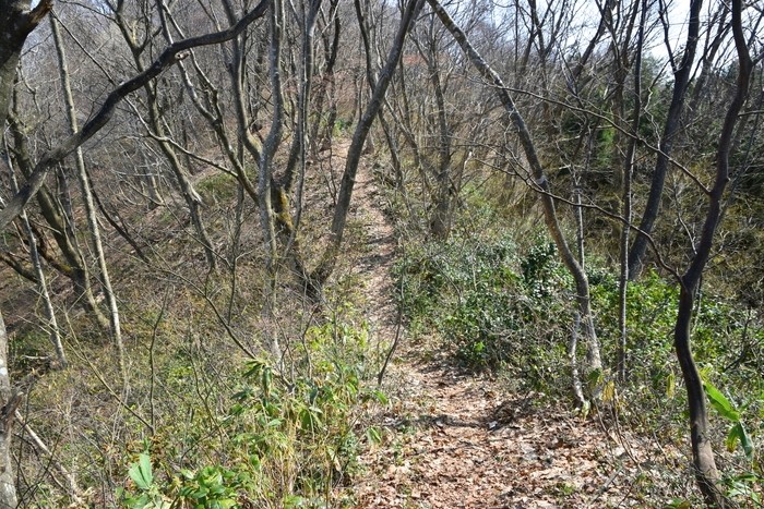 f:id:threepeaks:20210404224220j:plain