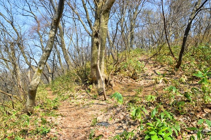 f:id:threepeaks:20210404224904j:plain