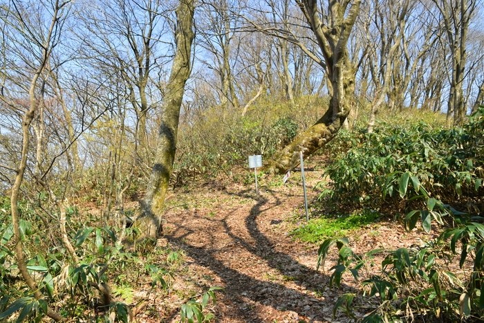 f:id:threepeaks:20210404225051j:plain