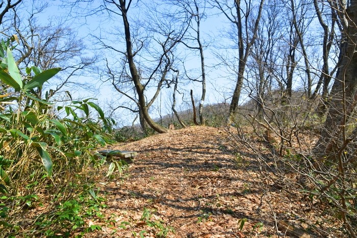 f:id:threepeaks:20210404225504j:plain